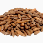 Pine Nuts