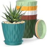 Planters & Pots